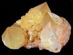 Sunshine Cactus Quartz Crystal - South Africa #47192-1
